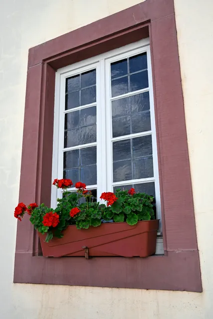 Geraniums at the Sill in Trier-Saarburg, Germany